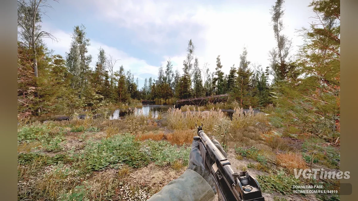 S.T.A.L.K.E.R. 2: Heart of Chornobyl — Bardziej realistyczny las