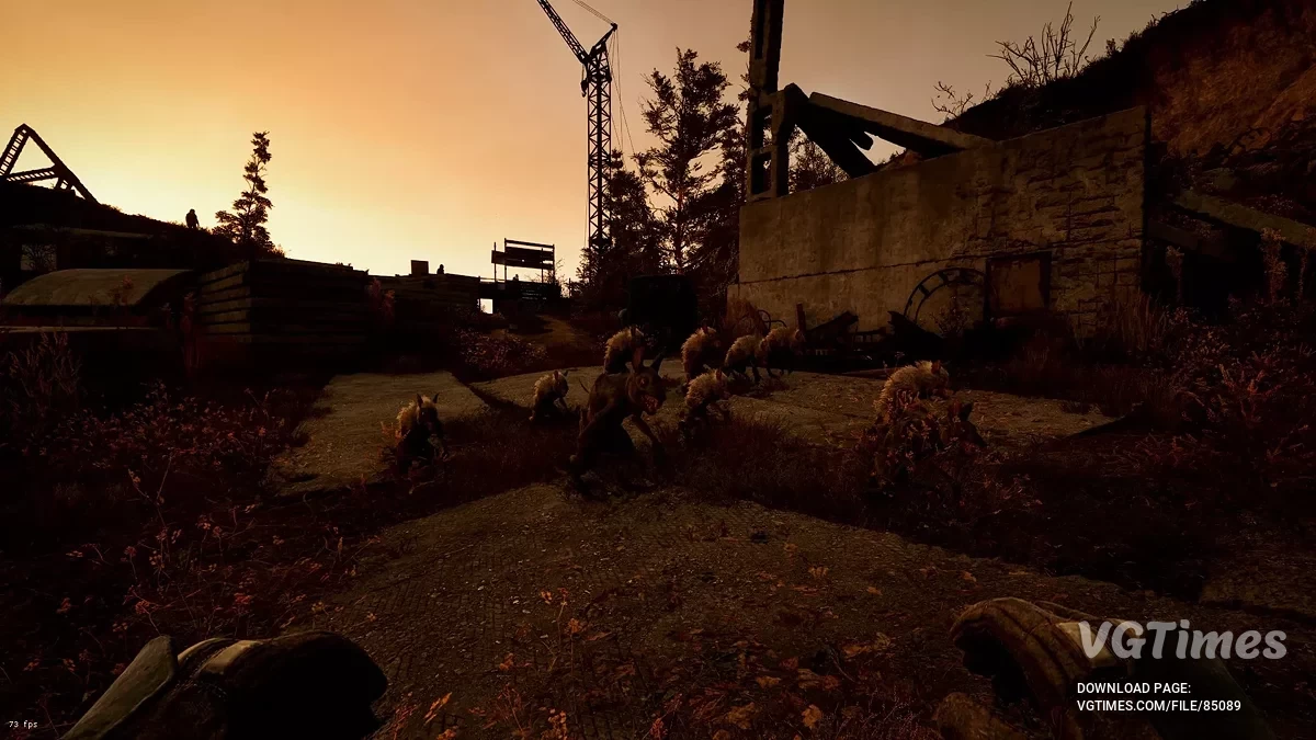 S.T.A.L.K.E.R. 2: Heart of Chornobyl — Variedade de Mutantes