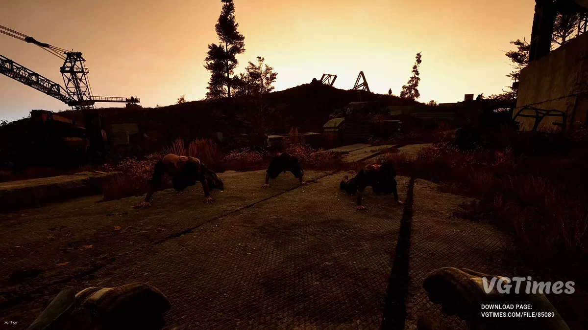 S.T.A.L.K.E.R. 2: Heart of Chornobyl — Variedade de Mutantes