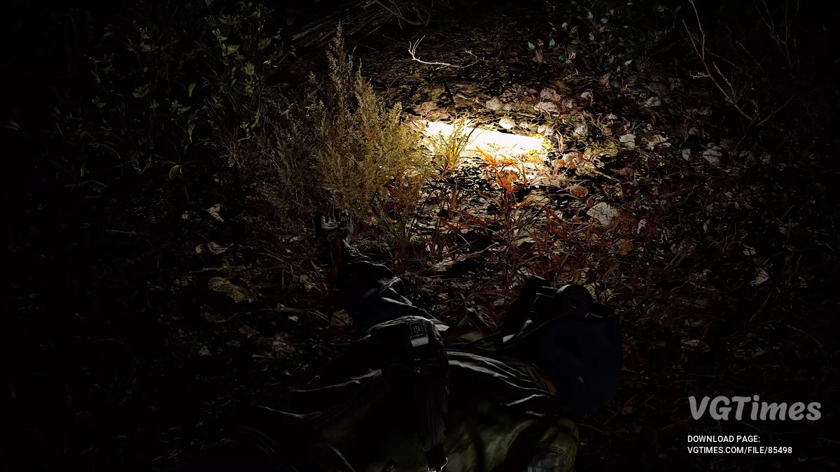 S.T.A.L.K.E.R. 2: Heart of Chornobyl — Bastões Luminosos