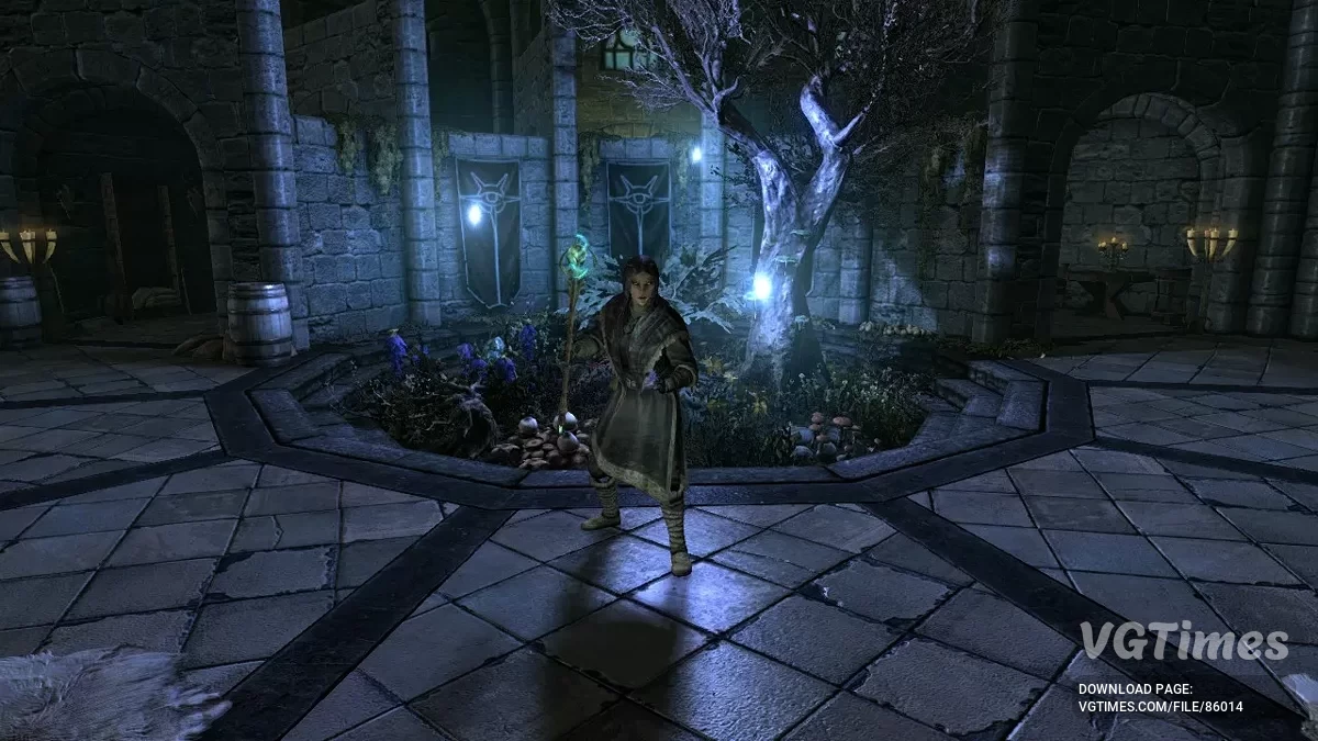 Elder Scrolls 5: Skyrim Special Edition — Elf Tinggi Level 50, Cerita Selesai [Steam]