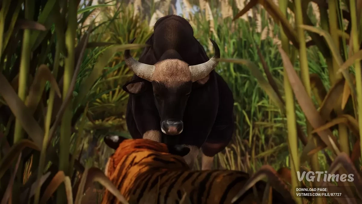 Planet Zoo — Gaur — nova espécie (1.20)