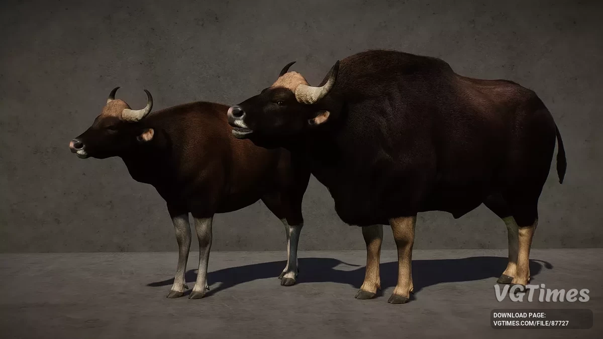 Planet Zoo — Gaur — nova espécie (1.20)