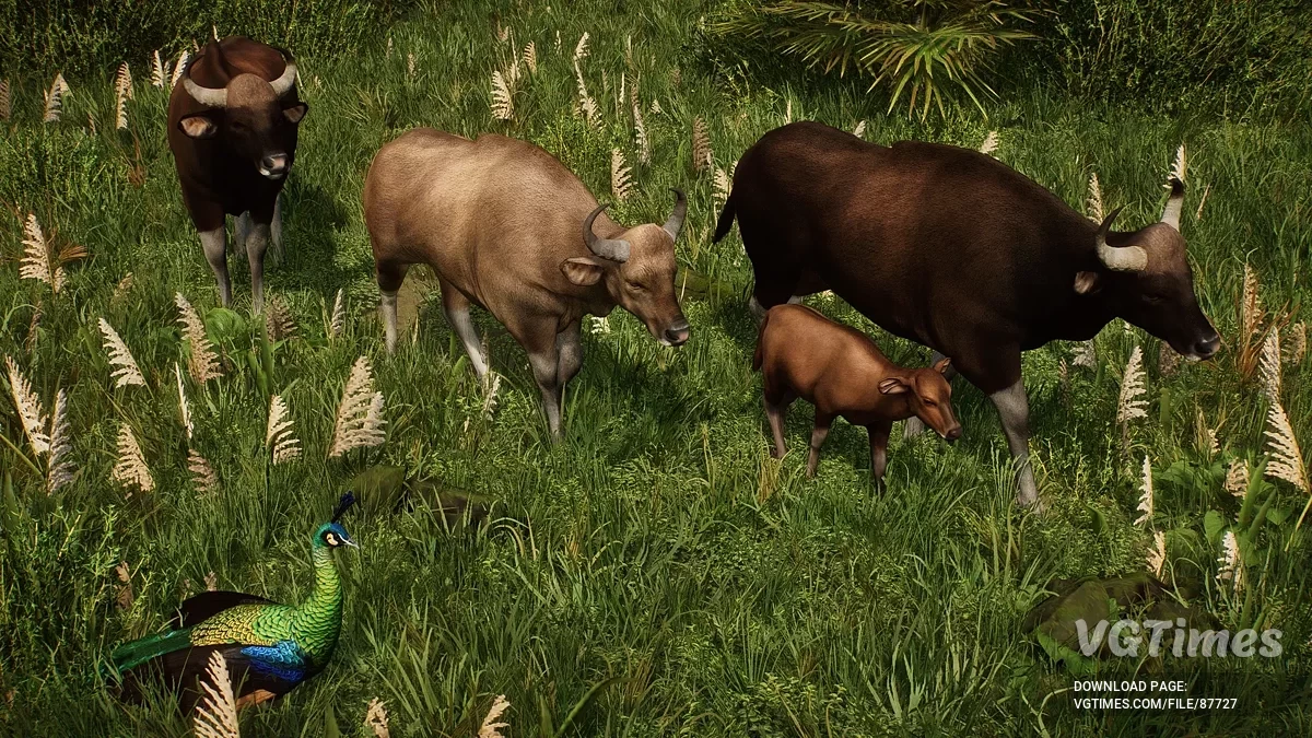 Planet Zoo — Gaur — nova espécie (1.20)