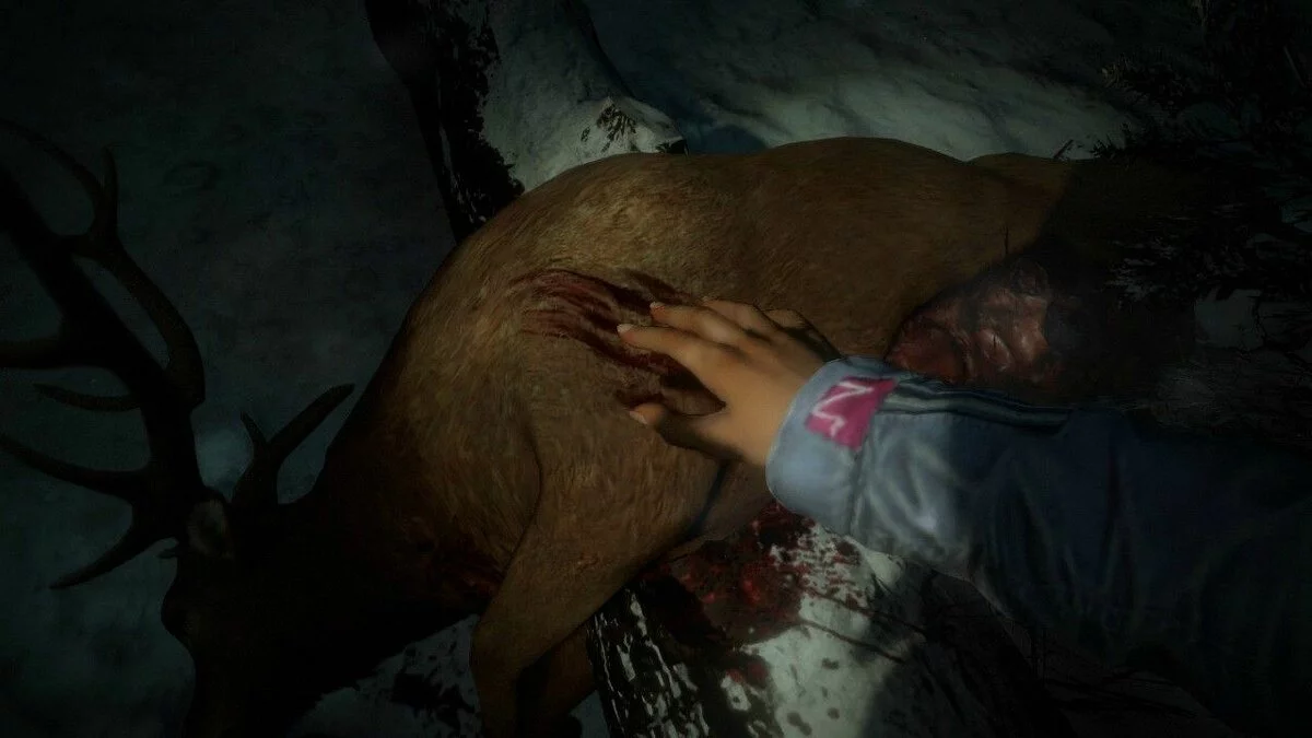 Zrzuty ekranu z Until Dawn 2015 / Obrazek 5