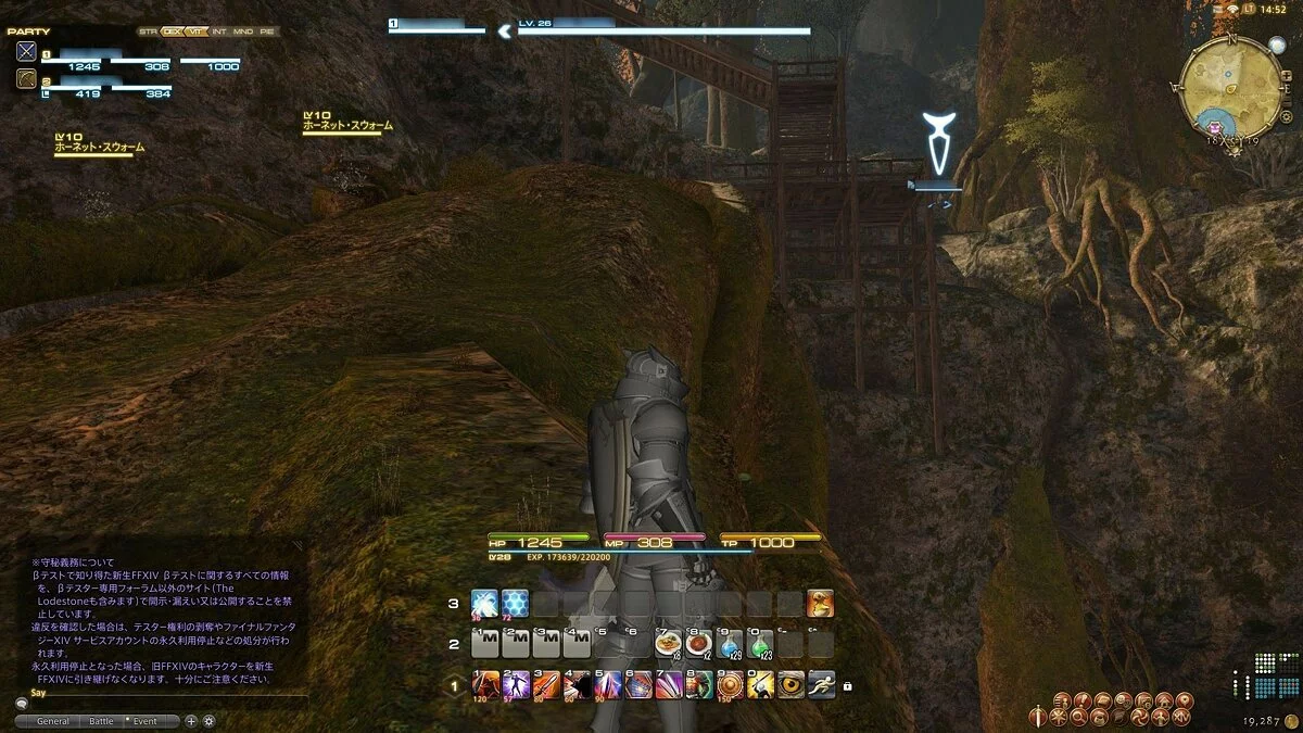 Скріншоти з Final Fantasy XIV Online / Зображення 199