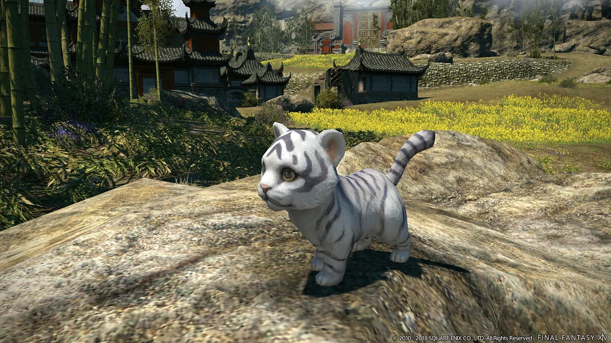 Скріншоти з Final Fantasy XIV Online / Зображення 386