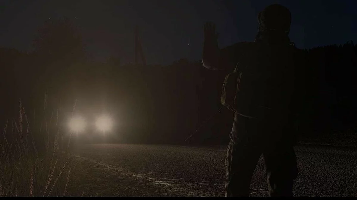 Screenshots from DayZ / Image 133