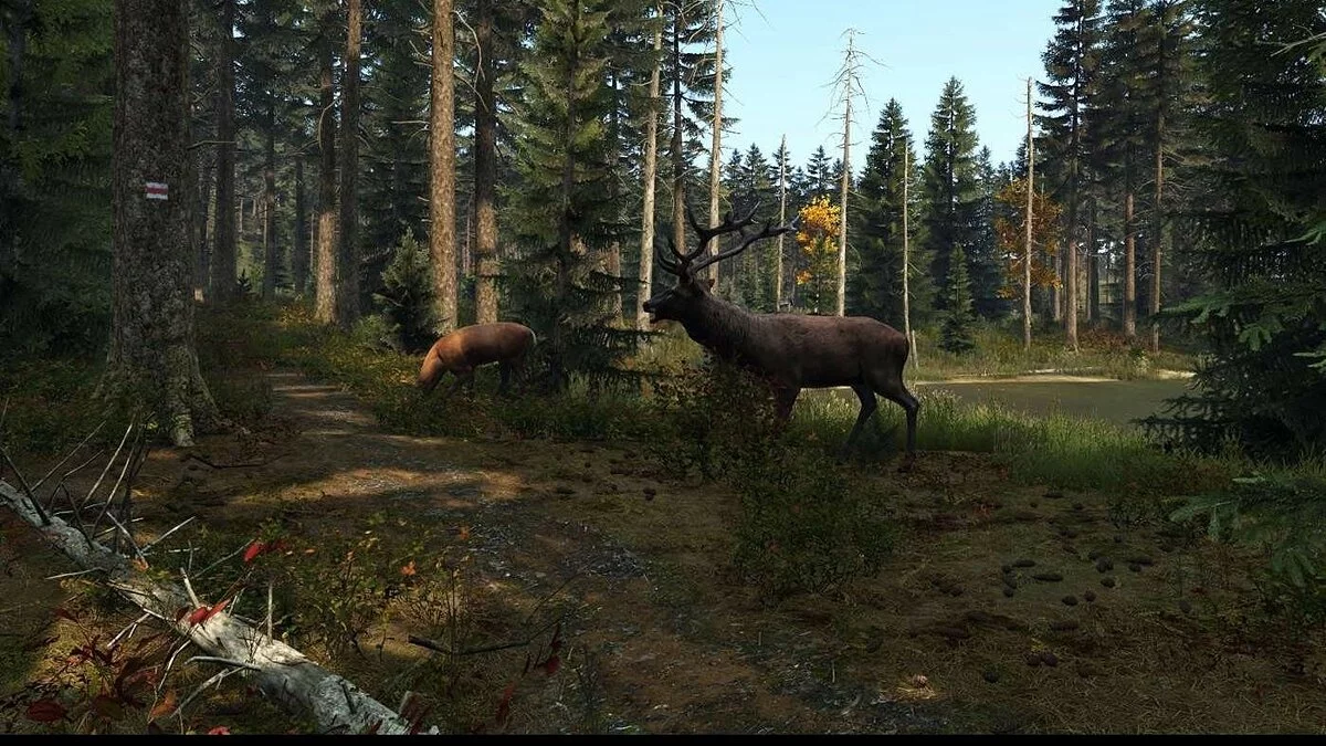 Screenshots from DayZ / Image 134