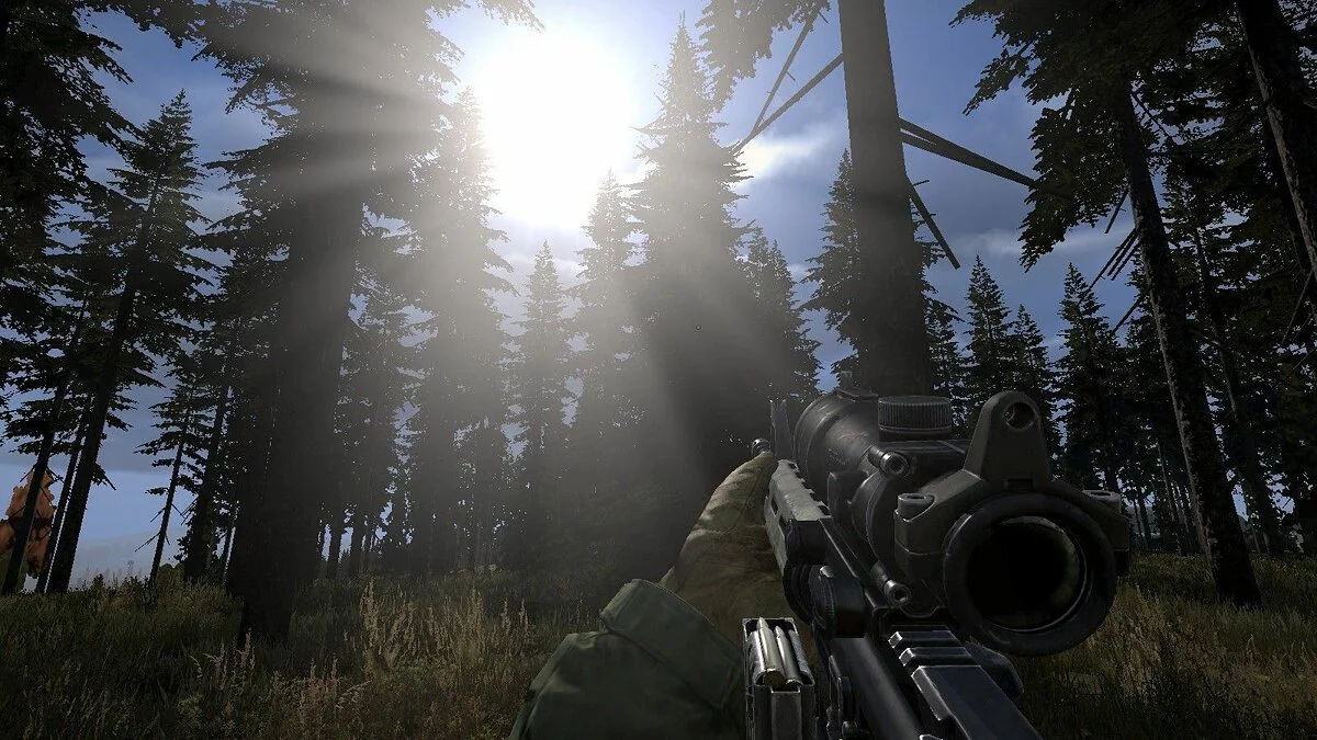 Screenshots from DayZ / Image 65