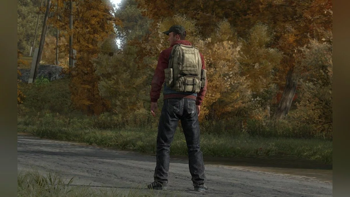Screenshots from DayZ / Image 17