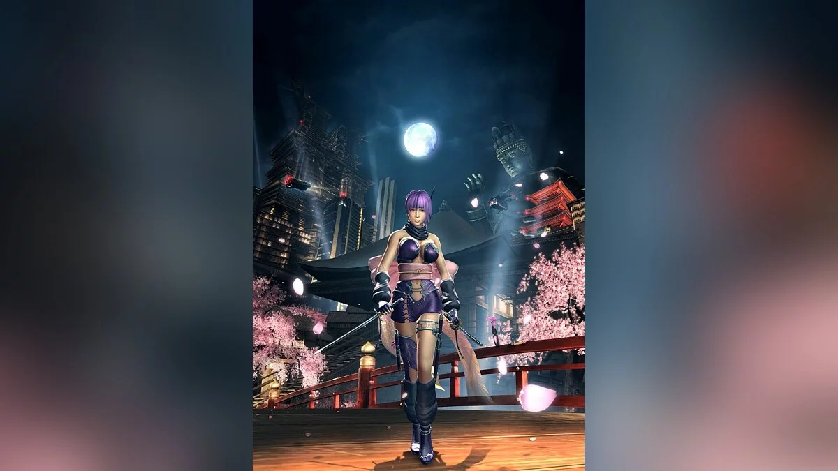 Дівчата з Ninja Gaiden / Зображення 44