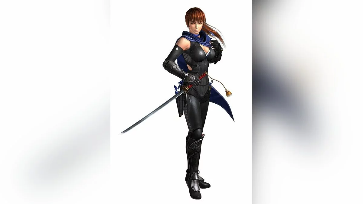 Дівчата з Ninja Gaiden / Зображення 1