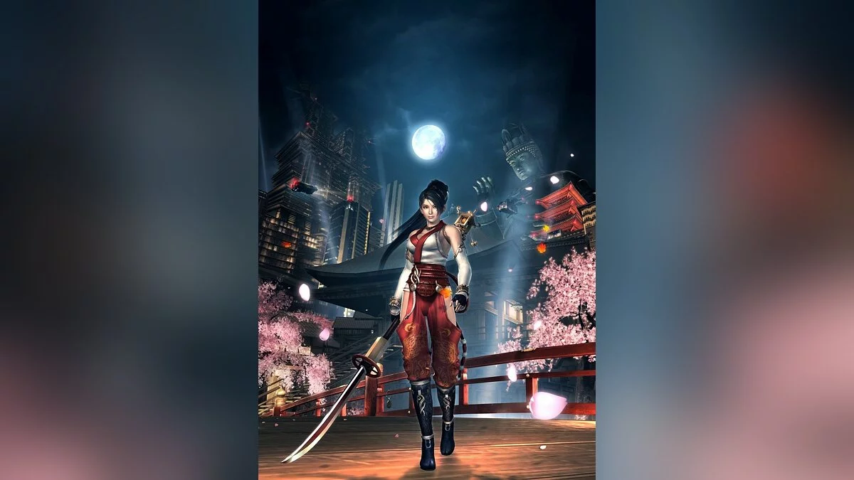Дівчата з Ninja Gaiden / Зображення 77