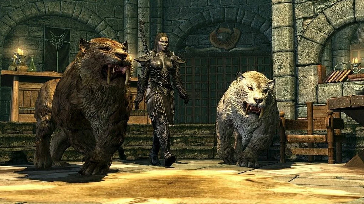 Скріншоти з The Elder Scrolls 5: Skyrim / Зображення 225