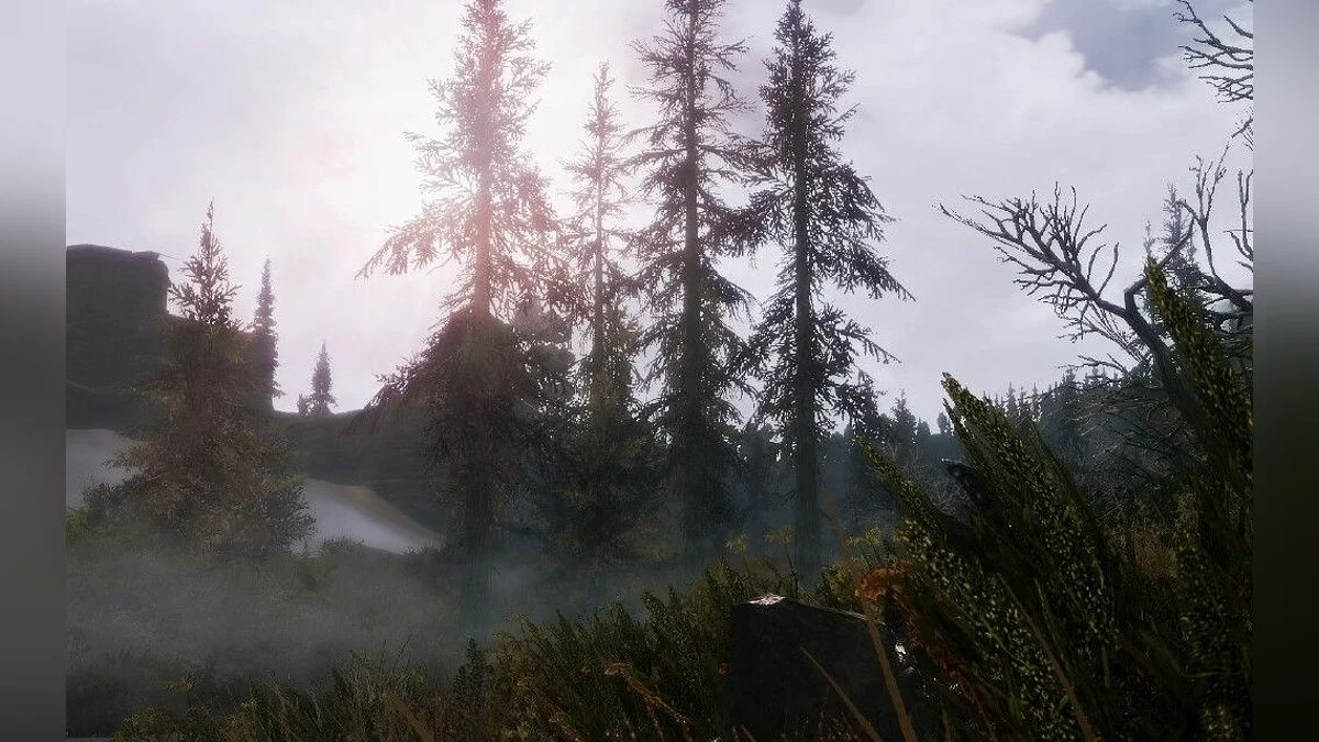 Скріншоти з The Elder Scrolls 5: Skyrim / Зображення 303