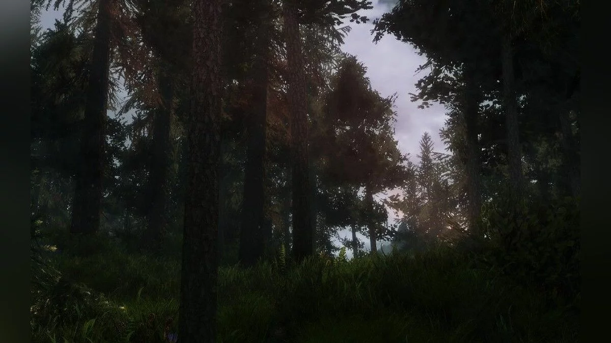 Скріншоти з The Elder Scrolls 5: Skyrim / Зображення 305