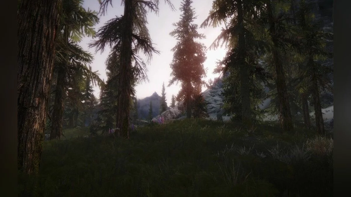 Скріншоти з The Elder Scrolls 5: Skyrim / Зображення 307