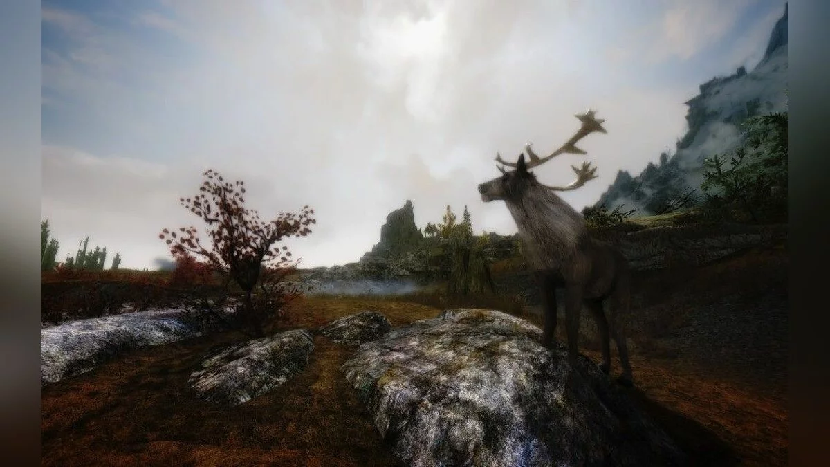 Скріншоти з The Elder Scrolls 5: Skyrim / Зображення 310
