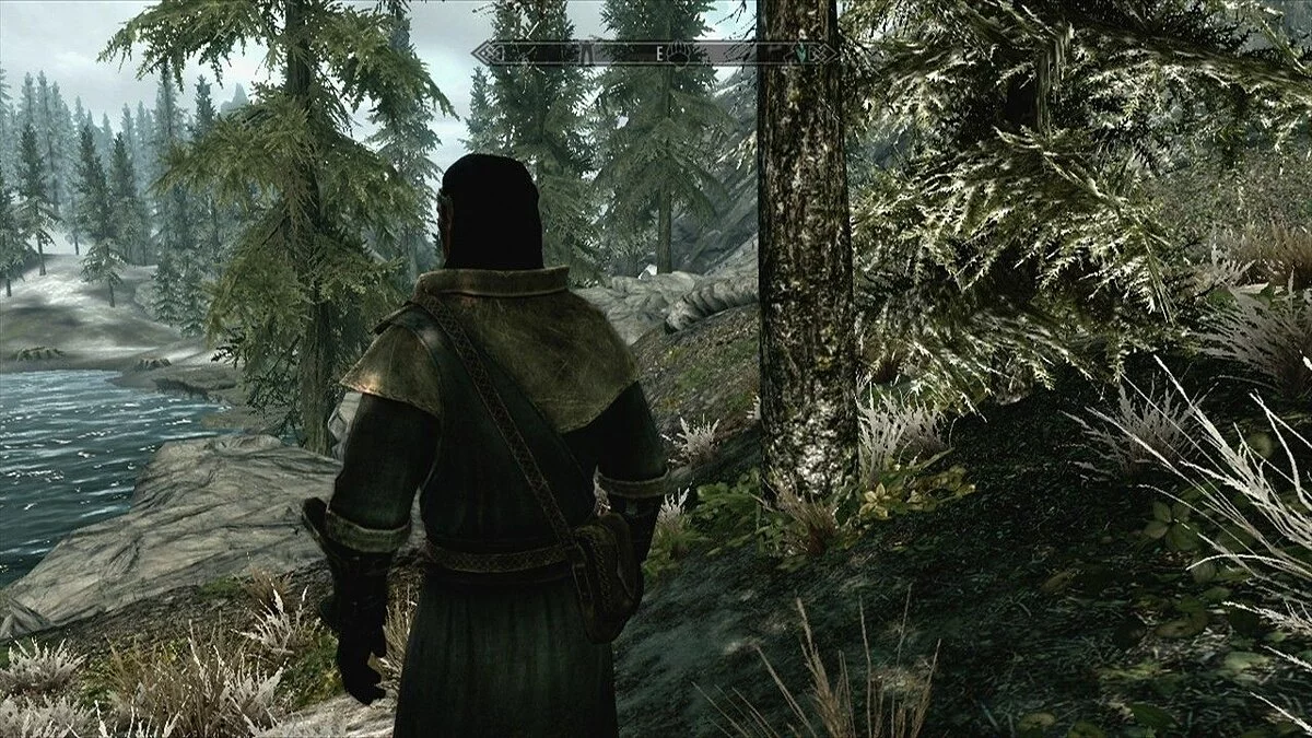 Скріншоти з The Elder Scrolls 5: Skyrim / Зображення 89