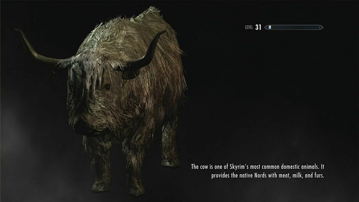 Скріншоти з The Elder Scrolls 5: Skyrim / Зображення 97