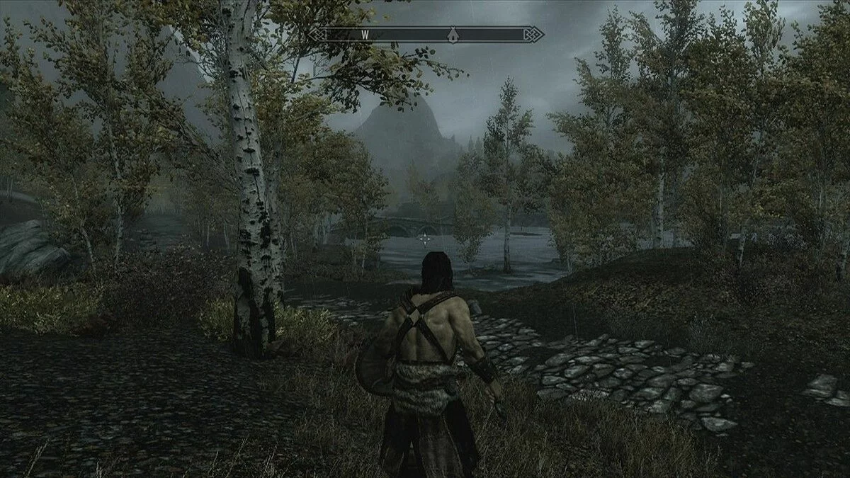 Скріншоти з The Elder Scrolls 5: Skyrim / Зображення 109