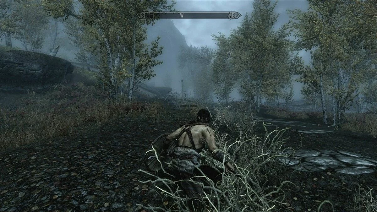 Скріншоти з The Elder Scrolls 5: Skyrim / Зображення 138