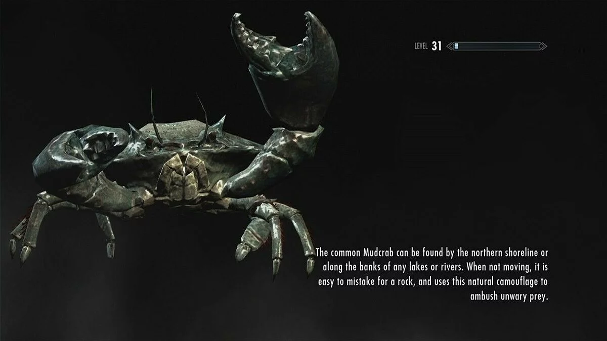 Скріншоти з The Elder Scrolls 5: Skyrim / Зображення 120