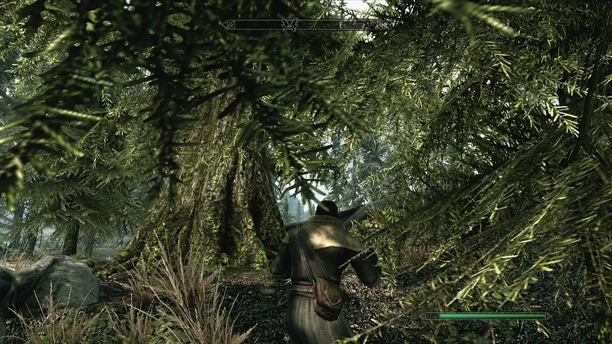 Скріншоти з The Elder Scrolls 5: Skyrim / Зображення 127