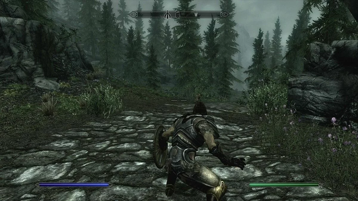 Скріншоти з The Elder Scrolls 5: Skyrim / Зображення 130
