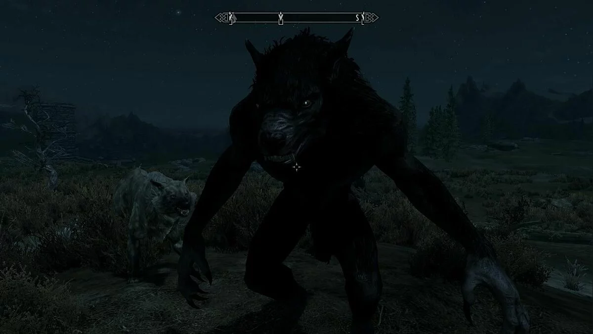 Скріншоти з The Elder Scrolls 5: Skyrim / Зображення 239
