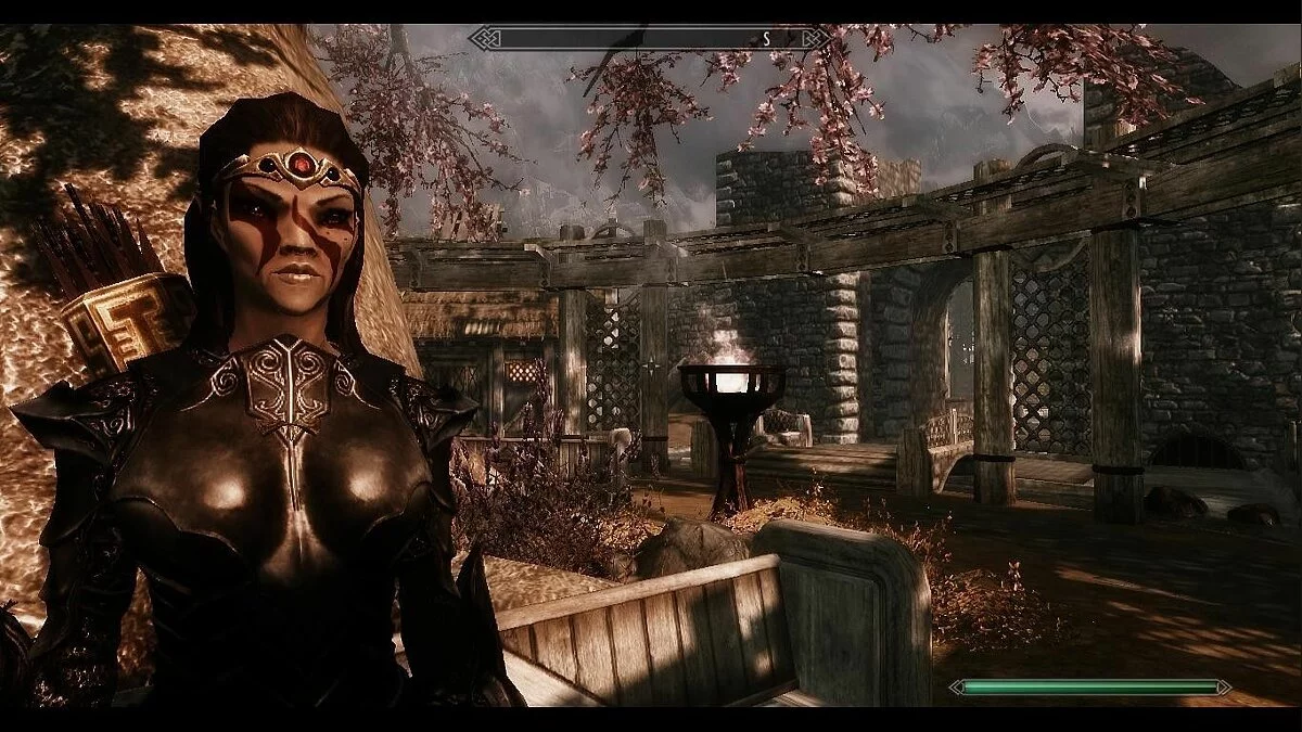 Скріншоти з The Elder Scrolls 5: Skyrim / Зображення 250