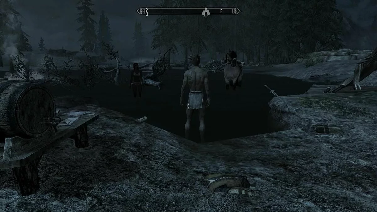 Скріншоти з The Elder Scrolls 5: Skyrim / Зображення 260