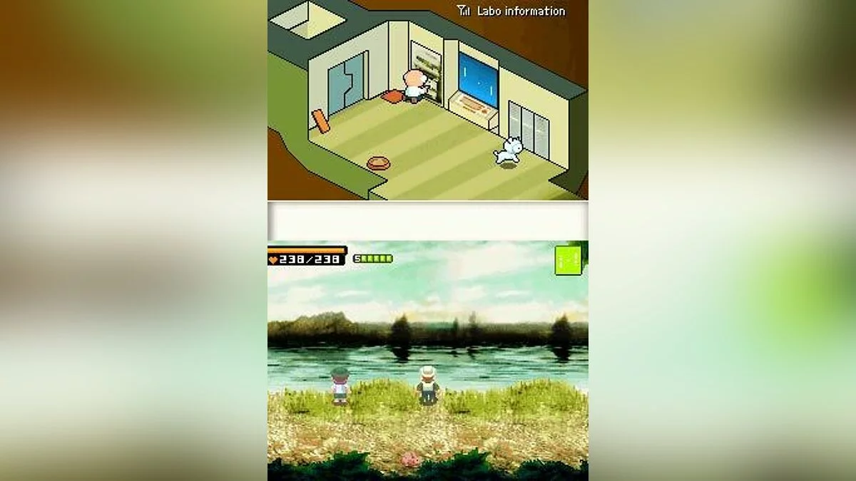 Gambar dari 