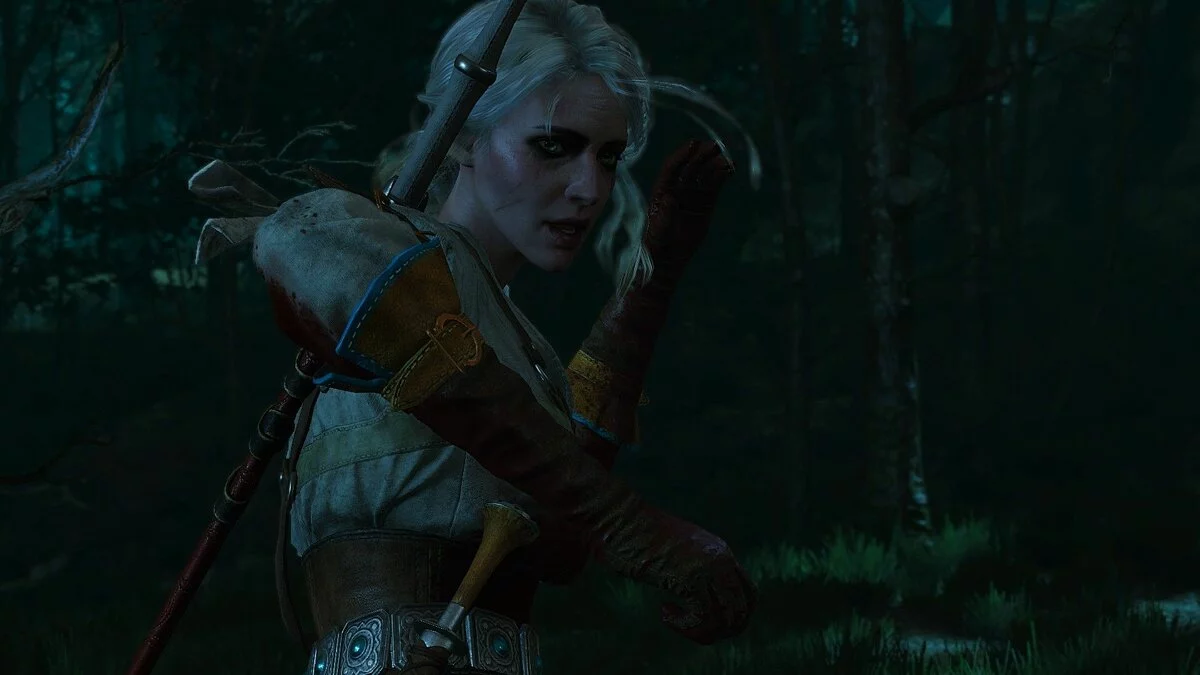 Скріншоти з The Witcher 3: Wild Hunt - Complete Edition / Зображення 92