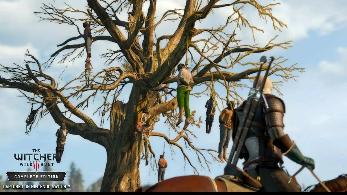 Скріншоти з The Witcher 3: Wild Hunt - Complete Edition / Зображення 356