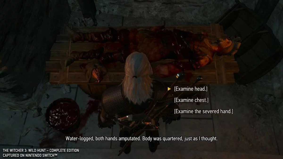 Скріншоти з The Witcher 3: Wild Hunt - Complete Edition / Зображення 368