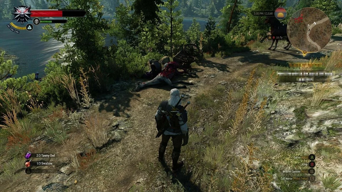 Скріншоти з The Witcher 3: Wild Hunt - Complete Edition / Зображення 374