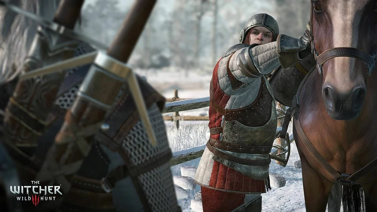 Скріншоти з The Witcher 3: Wild Hunt - Complete Edition / Зображення 88