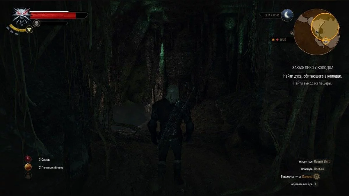 Скріншоти з The Witcher 3: Wild Hunt / Зображення 200