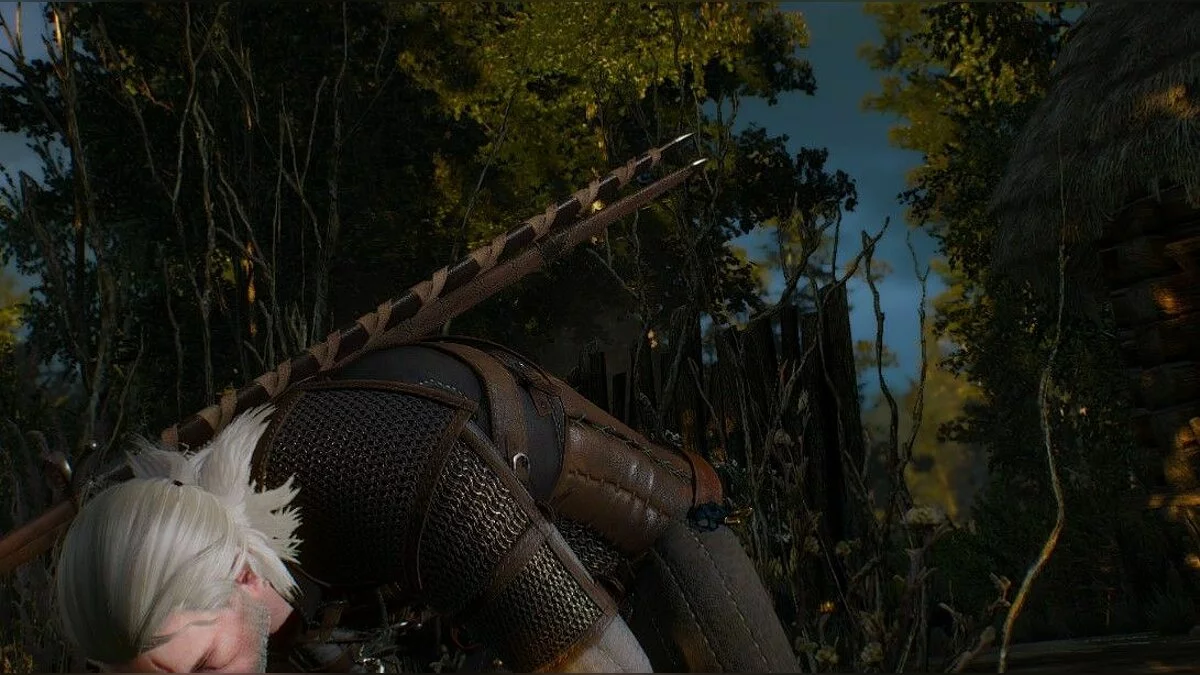 Скріншоти з The Witcher 3: Wild Hunt / Зображення 205