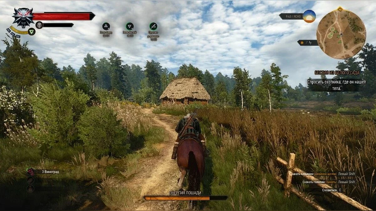Скріншоти з The Witcher 3: Wild Hunt / Зображення 224
