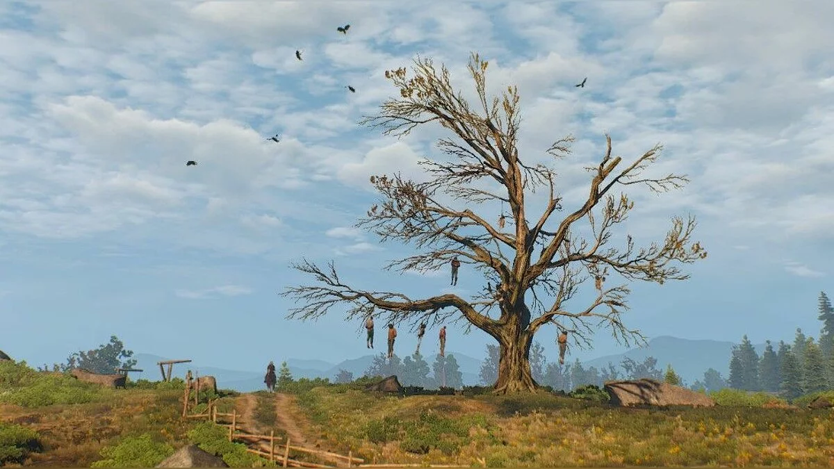 Скріншоти з The Witcher 3: Wild Hunt / Зображення 239
