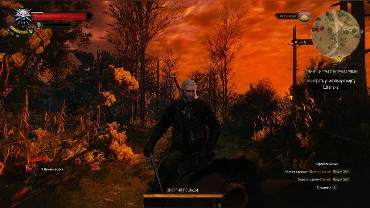 Скріншоти з The Witcher 3: Wild Hunt / Зображення 254