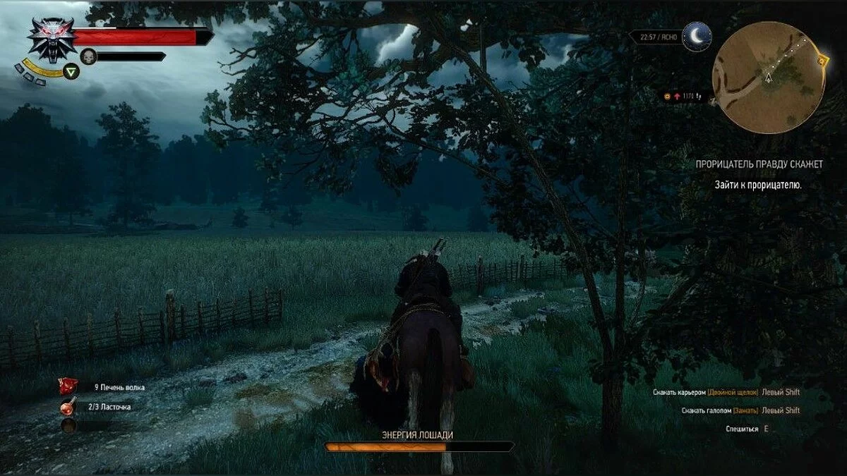 Скріншоти з The Witcher 3: Wild Hunt - Complete Edition / Зображення 261