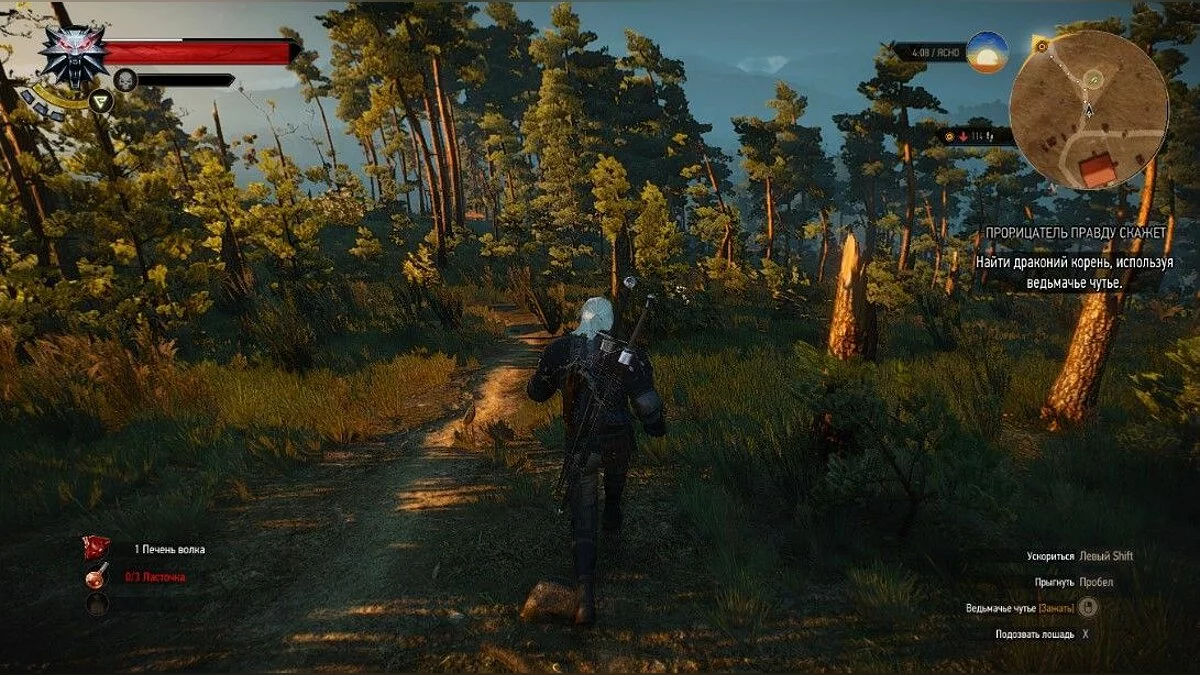 Скріншоти з The Witcher 3: Wild Hunt - Complete Edition / Зображення 268