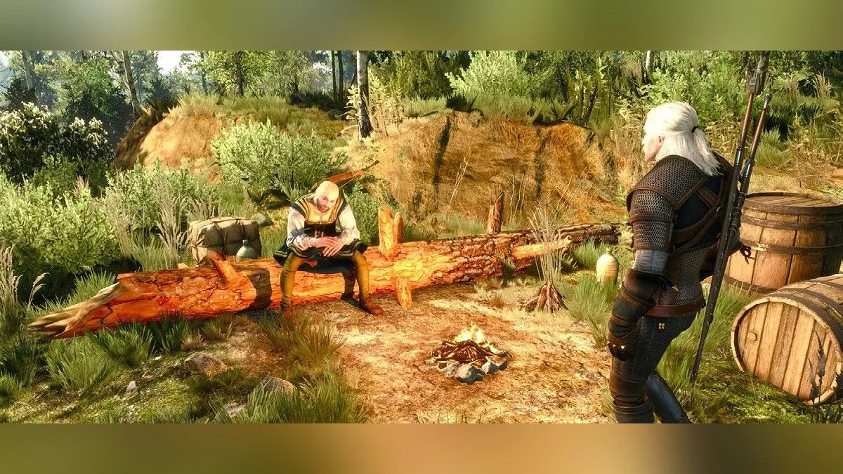 Скріншоти з The Witcher 3: Wild Hunt - Complete Edition / Зображення 131
