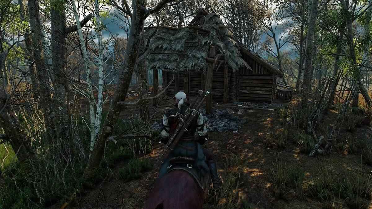 Скріншоти з The Witcher 3: Wild Hunt / Зображення 142