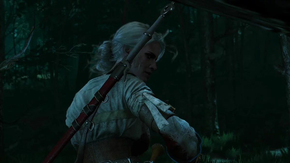 Скріншоти з The Witcher 3: Wild Hunt - Complete Edition / Зображення 134