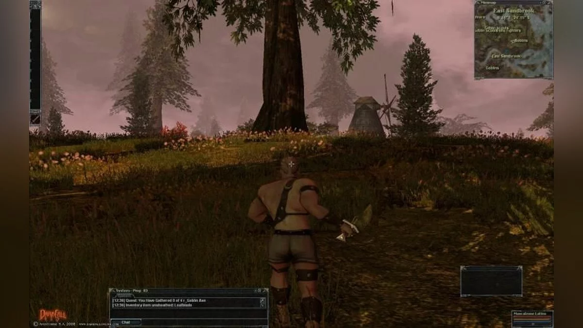 Screenshots from Darkfall / Image 56